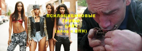 твердый Белокуриха